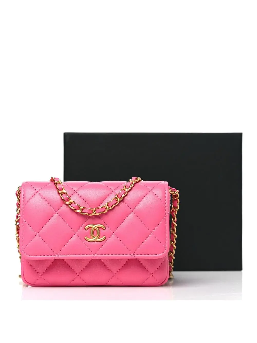 Chanel Lambskin Enamel Quilted Coco #360488C18B